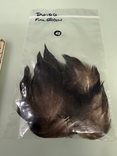 Drake widgeon full groin - full,